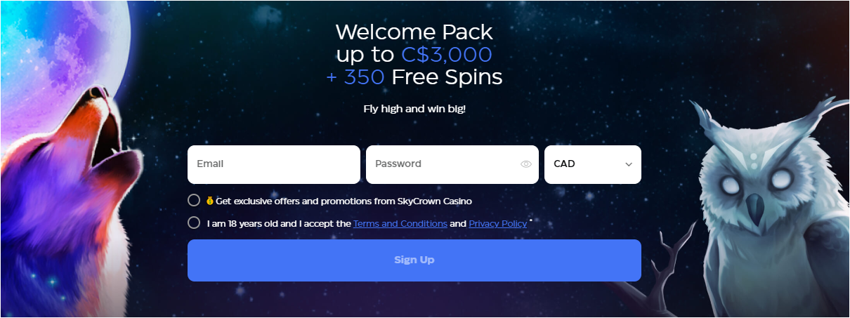 SkyCrown Casino login page sign-in form